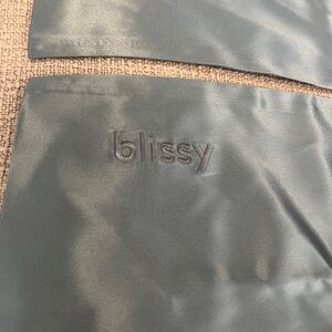 2 NWOT Blissy Gray/Blue Silk Pillowcases - Queen